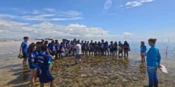 Alunos participam do programa Conhecer para Preservar no Parque Recife de Fora