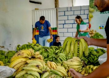 PAA Municipal fortalece agricultura familiar