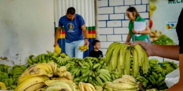 PAA Municipal fortalece agricultura familiar