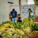 PAA Municipal fortalece agricultura familiar