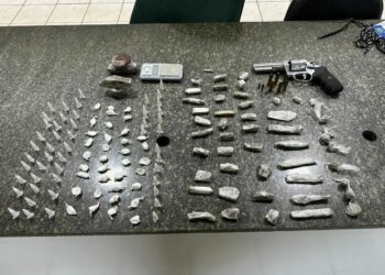 PMBA APREENDE ARMA E DROGAS