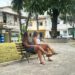 Arraial d’Ajuda ganha nova praça revitalizada na entrada da Rua Nova