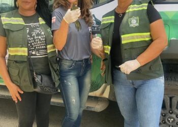Semac intensifica resgates de animais silvestres em Porto Seguro