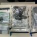 Mais de um quilo de drogas é apreendido durante ação investigativa no bairro Uruguai