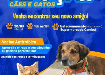 Prefeitura de Eunápolis realiza 4ª Feira de Adoção de Animais nesta sexta-feira (20)