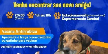 Prefeitura de Eunápolis realiza 4ª Feira de Adoção de Animais nesta sexta-feira (20)