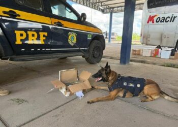 A POLÍCIA RODOVIÁRIA FEDERAL, nas estradas e rodovias, sempre atenta a todos os detalhes do trânsito