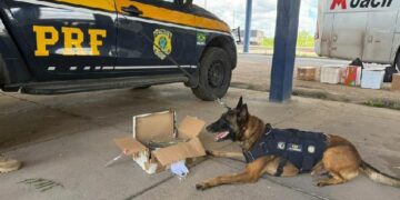 A POLÍCIA RODOVIÁRIA FEDERAL, nas estradas e rodovias, sempre atenta a todos os detalhes do trânsito