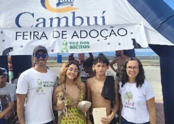 Feira de adoção animal mobiliza comunidade durante Meia Maratona em Porto Seguro