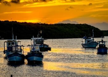 Porto Seguro faz parceria com Ministério da Pesca para vistoria de embarcações