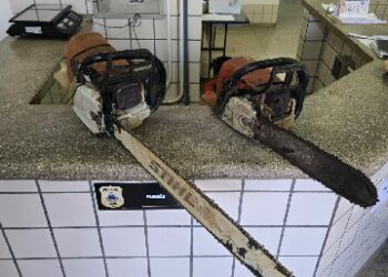 PMBA prende três homens suspeitos de furto de madeira; dois caminhões e dois motosserras foram apreendidos