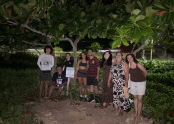 Nascimento de tartarugas-de-pente nas praias Ponta Grande e Pitangueiras reforça preservação Ambiental