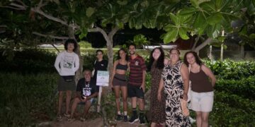 Nascimento de tartarugas-de-pente nas praias Ponta Grande e Pitangueiras reforça preservação Ambiental