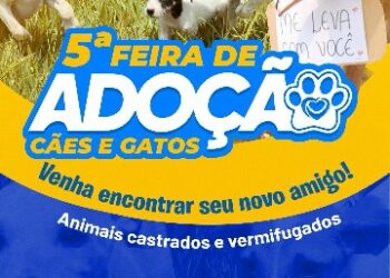 Prefeitura de Eunápolis promove 5ª Feira de Adoção de Animais da UVZ nesta sexta-feira (17)