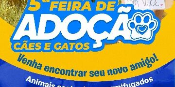 Prefeitura de Eunápolis promove 5ª Feira de Adoção de Animais da UVZ nesta sexta-feira (17)
