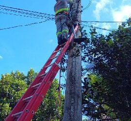 Trancoso recebe série de melhorias urbanas e manutenção em diferentes localidades