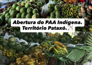 Programa de Aquisição de Alimentos Indígenas é retomado em Porto Seguro e fortalece comunidades Pataxó