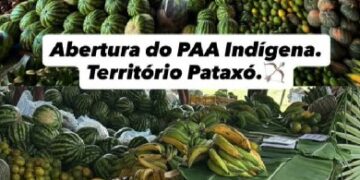 Programa de Aquisição de Alimentos Indígenas é retomado em Porto Seguro e fortalece comunidades Pataxó