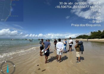 Semac avança com ordenamento costeiro na Praia dos Coqueiros