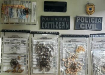 POLÍCIA CIVIL PRENDE SUSPEITO DE TRÁFICO DE DROGAS E APREENDE ENTORPECENTES E MUNIÇÕES EM EUNÁPOLIS