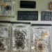 POLÍCIA CIVIL PRENDE SUSPEITO DE TRÁFICO DE DROGAS E APREENDE ENTORPECENTES E MUNIÇÕES EM EUNÁPOLIS