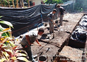 Pesquisas arqueológicas revelam tesouros históricos no Museu de Arqueologia de Porto Seguro