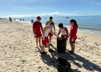Dia Mundial dos Oceanos: unidos pela conservação marinha!