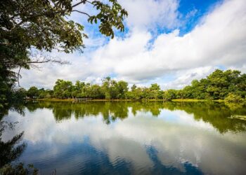 Prefeitura de Eunápolis celebrou o Dia Mundial do Meio Ambiente com ação no Parque Gravatá e participação de estudantes