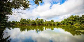 Prefeitura de Eunápolis celebrou o Dia Mundial do Meio Ambiente com ação no Parque Gravatá e participação de estudantes