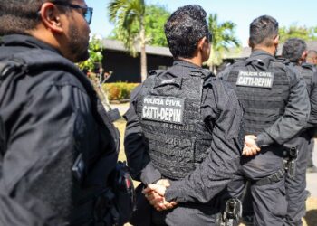 Operação Campo Seguro recupera sete caprinos furtados em Conceição do Coité