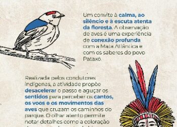Passarinhada do Monte Pascoal convida visitantes para imersão na Mata Atlântica e cultura Pataxó