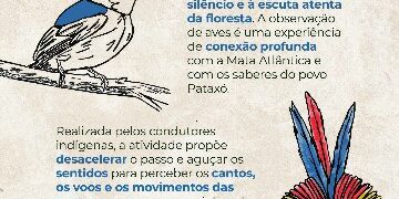 Passarinhada do Monte Pascoal convida visitantes para imersão na Mata Atlântica e cultura Pataxó
