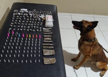 PMBA APREENDE GRANDE QUANTIDADE DE DROGAS COM APOIO DO CANIL