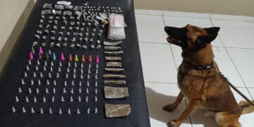 PMBA APREENDE GRANDE QUANTIDADE DE DROGAS COM APOIO DO CANIL