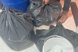 Polícia Civil apreende 37 kg de cocaína em Feira de Santana