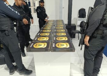 Polícia Civil realiza operação contra o tráfico de drogas no Extremo Sul do estado