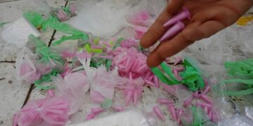 Operação Maní resulta em apreensão de drogas e cumprimento de mandado de prisão em Feira de Santana