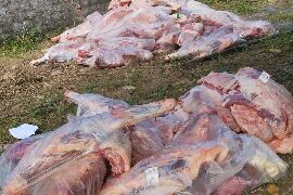 Polícias Civil e Militar recuperam carga roubada e caminhão após ação integrada em Salvador