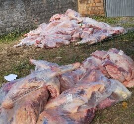Polícias Civil e Militar recuperam carga roubada e caminhão após ação integrada em Salvador