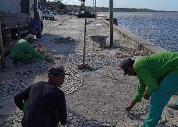 Serviços de manutenção preservam calçadas em pedra portuguesa na Avenida do Descobrimento