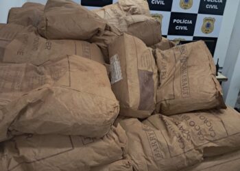 Polícia Civil recupera mais de 2,8 toneladas de pó de cacau subtraídas de caminhão envolvido em acidente de trânsito