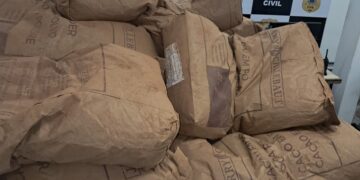 Polícia Civil recupera mais de 2,8 toneladas de pó de cacau subtraídas de caminhão envolvido em acidente de trânsito