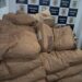Polícia Civil recupera mais de 2,8 toneladas de pó de cacau subtraídas de caminhão envolvido em acidente de trânsito