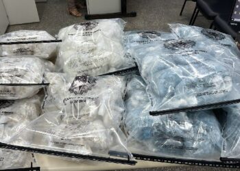 Polícia Civil apreende cerca de 10 mil porções de drogas durante ação contra organização criminosa em Camaçari