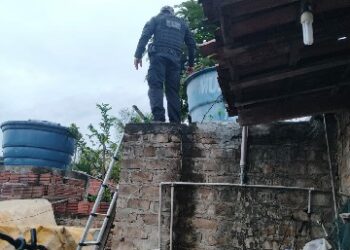 Operação São Pedro da Polícia Civil cumpre mandados de prisão na região Norte do Estado