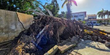 Danos causados por tempestade na Câmara de Eunápolis leva presidente a decretar estado de emergência