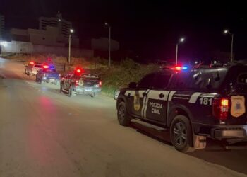 Operação Laço Falso combate furtos de gado em Santa Rita de Cássia e Riachão das Neves