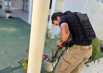 Polícia Civil apreende armas em Brejolândia
