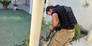 Polícia Civil apreende armas em Brejolândia