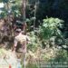 Semac resgata animais silvestres em Porto Seguro